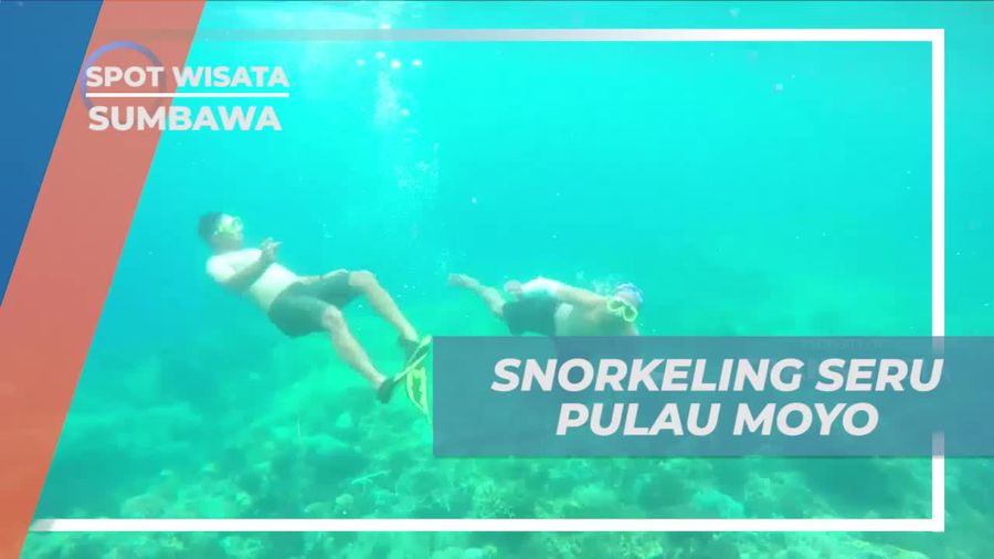 Snorkeling Seru dan Menyelam di Keindahan Pulau Moyo, Sumbawa