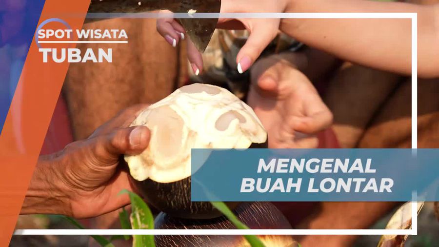 Mengenal Manfaat Buah Lontar di Tuban