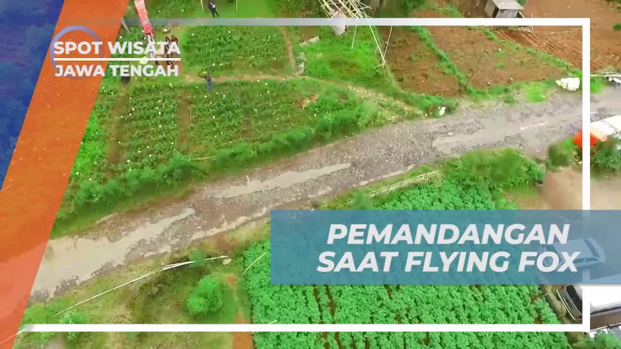 Menikmati Pemandangan Indah Saat Flying Fox di Jawa Tengah