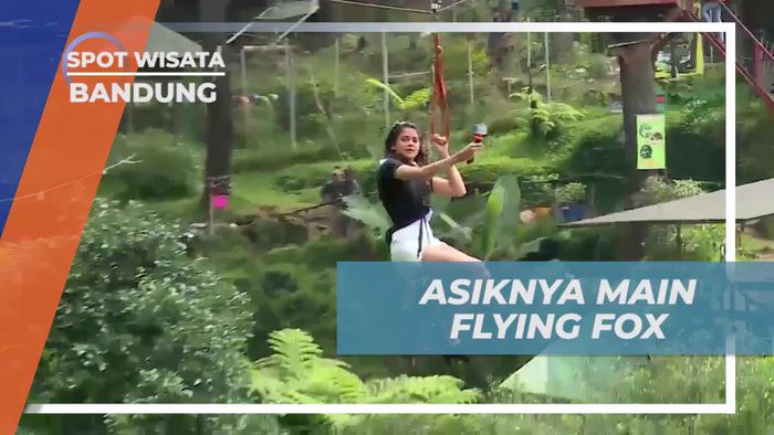 Serunya Menantang Adrenalin Bermain Flying Fox di Grafika Cikole, Bandung