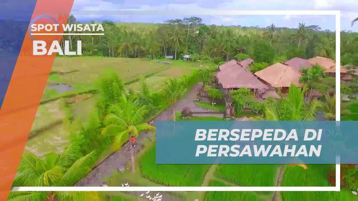 Menikmati Sejuknya Udara Ubud dengan Bersepeda di Tengah Sawah Bali