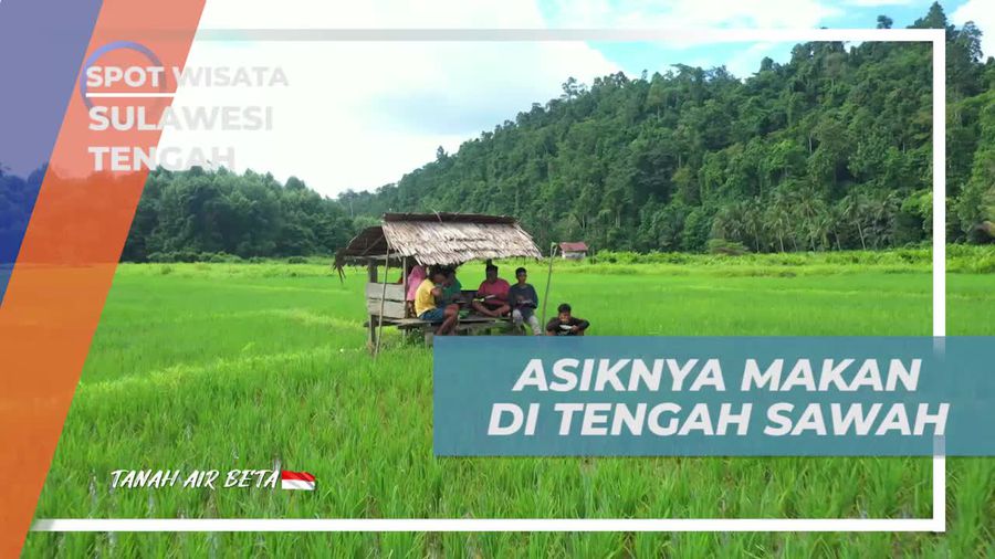 Keseruan Makan Bersama di Sawah Suku Bajo, Sulawesi Tengah