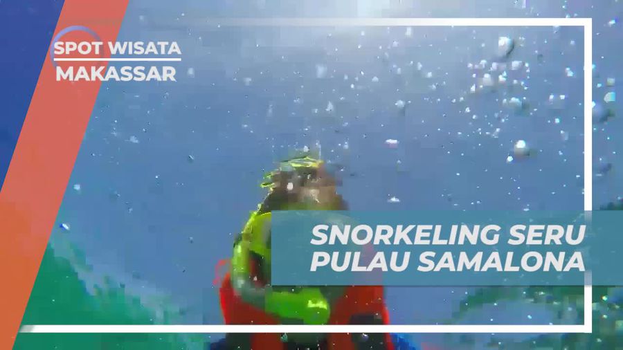 Snorkeling Seru Menyelami Keindahan Bawah Laut Pulau Samalona, Makassar