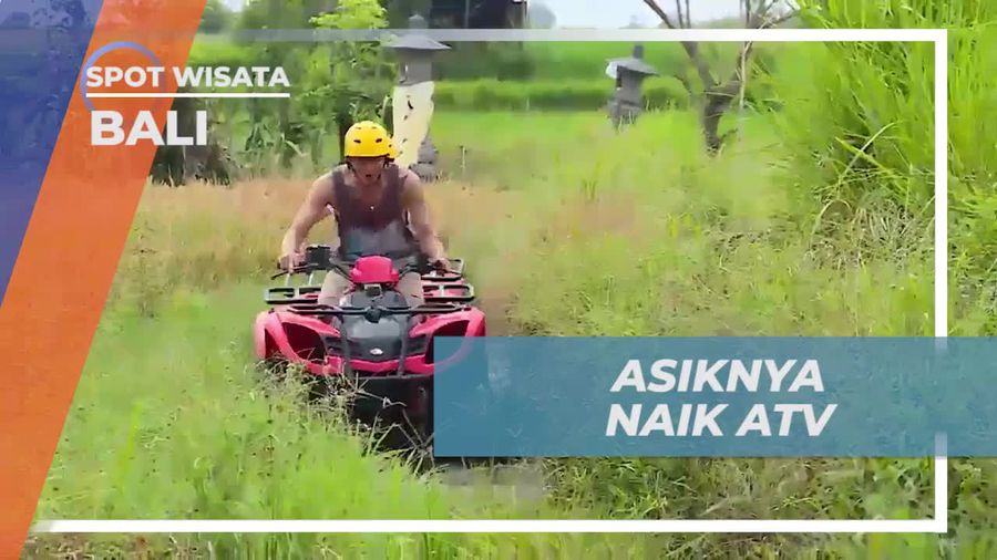 Petualangan Seru Naik ATV di Sawah Bali