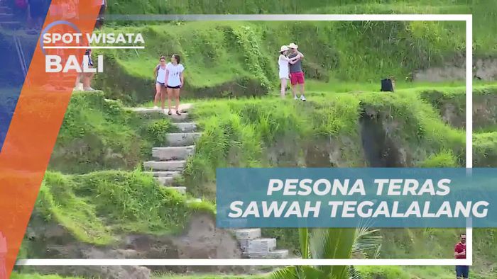 Menyatu dengan Alam di Teras Sawah Tegalalang, Bali