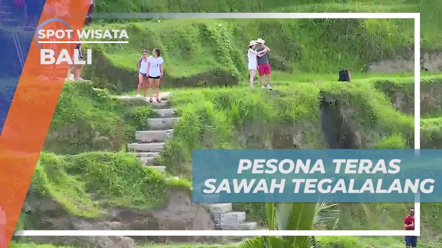 Menyatu dengan Alam di Teras Sawah Tegalalang, Bali