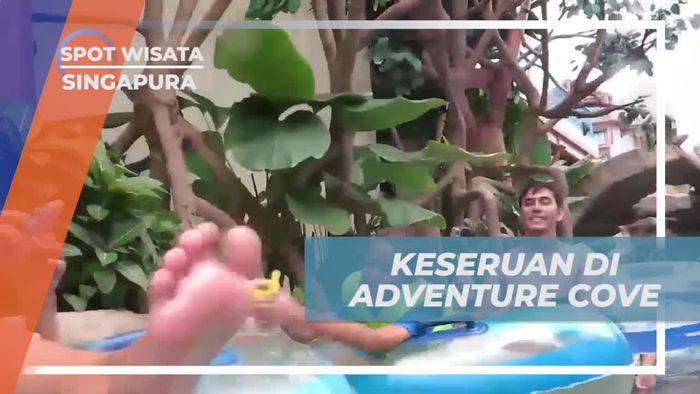 Menikmati Petualangan Air di Adventure Cove, Singapura
