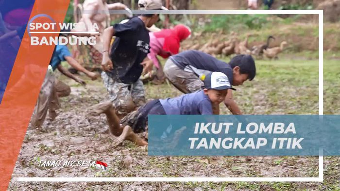 Berlomba Menangkap Itik di Desa Lamajang, Bandung