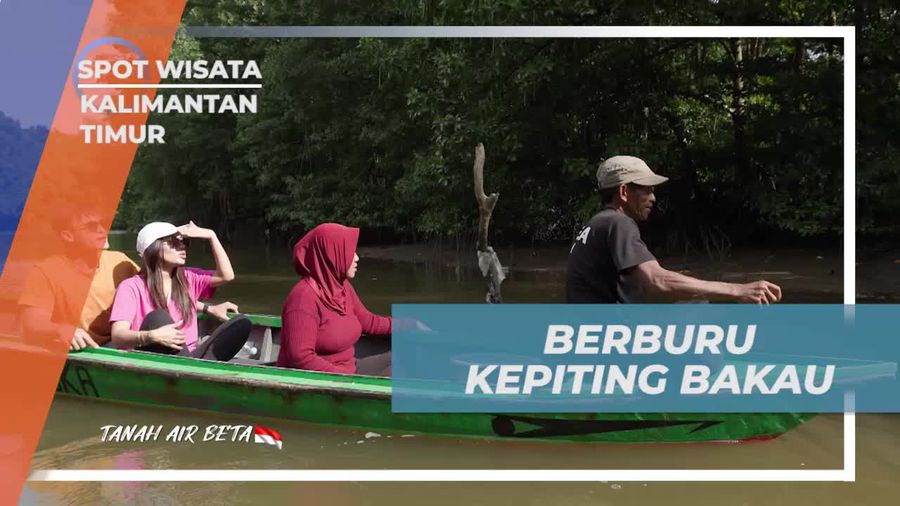 Berburu Kepiting Bakau di Kalimantan Timur bersama Warga Lokal  