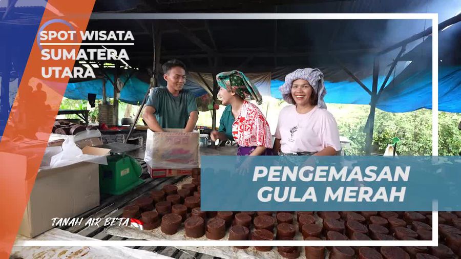 Mengemas Gula Merah untuk Dijual di Sumatera Utara  