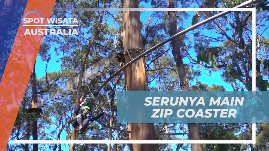 Rasakan Sensasi Adrenalin Main Zip Coaster di Live Wire Park, Australia