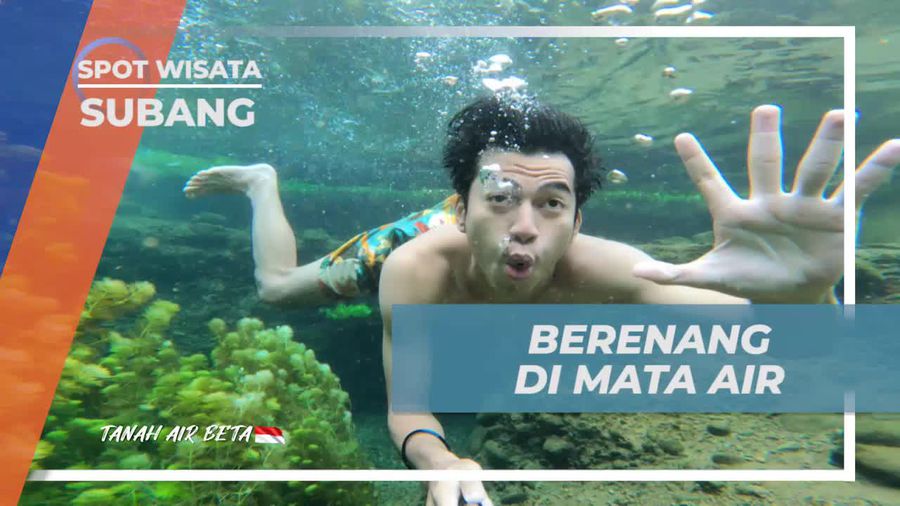 Berenang di Kejernihan Mata Air Cimincul yang Indah dan Menyegarkan di Subang