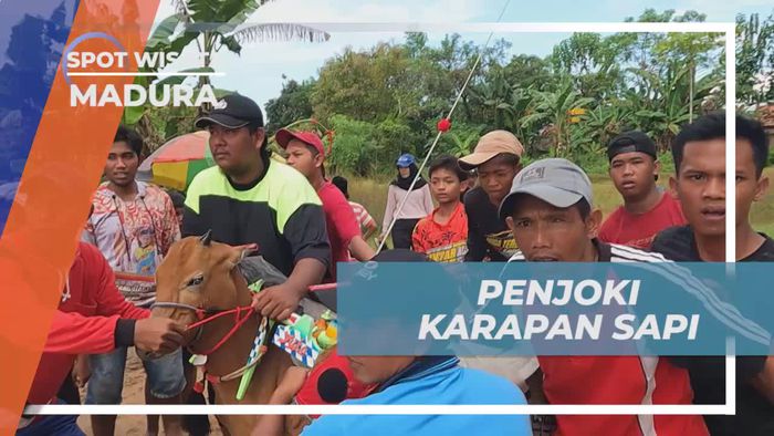 Mengungkap Rahasia Para Joki Cilik yang Gagah di Madura