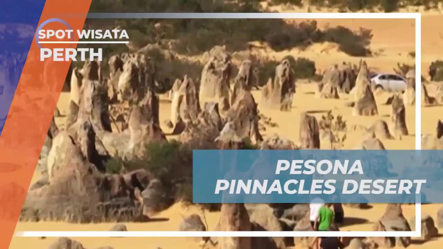 Kagumi Pesona Pinnacles Desert di Perth yang Eksotis dan Menakjubkan  