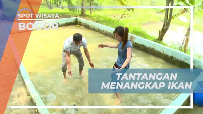 Beradu Ketangkasan Menangkap Ikan di Tirta Sanita, Bogor