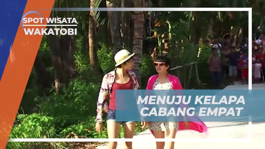 Ikuti Perjalanan Menyusuri Kelapa Cabang Empat yang Terkenal di Wakatobi