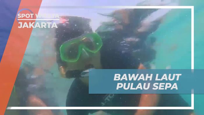Jelajahi Keindahan Bawah Laut Pulau Sepa di Jakarta
