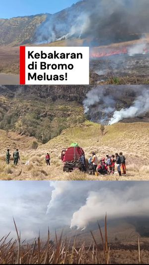 Video Kebakaran di Bromo Meluas, Total 86 Hektare Lebih Terbakar