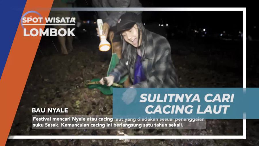 Menghadapi Tantangan Cuaca Saat Mencari Cacing Laut di Lombok