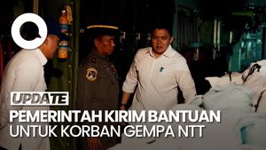Video Pemerintah Kirim 27 Ton Logistik untuk Korban Gempa NTT di Hari Kejadian
