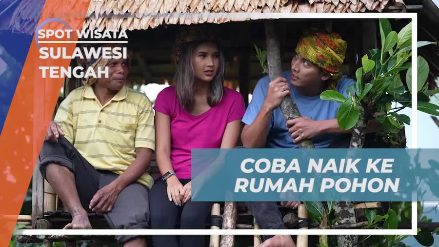 Mencoba Naik ke Rumah Pohon Tradisional di Sulawesi Tengah