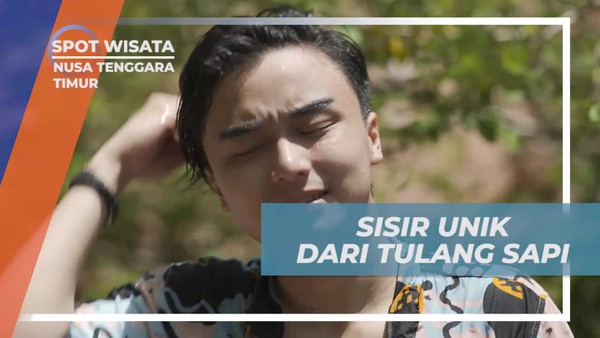 Rasakan Uniknya Sisir dari Tulang Sapi di Nusa Tenggara Timur