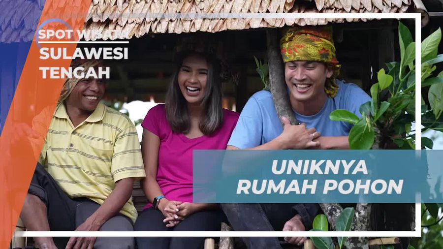 Menggali Keunikan Rumah Pohon yang Ramah Alam di Sulawesi Tengah