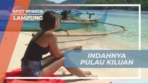 Menghargai Keindahan Pantai Kiluan di Lampung