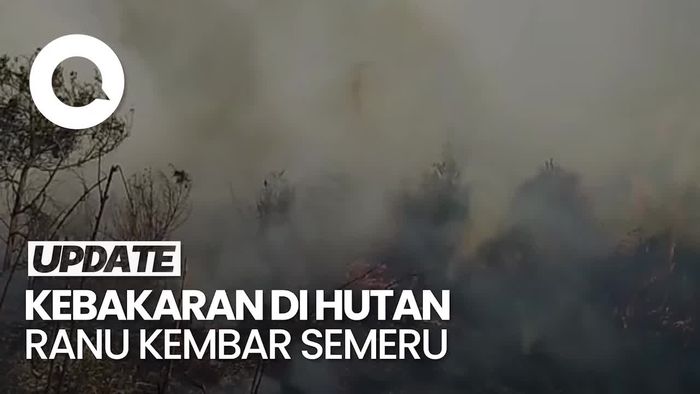  Video Kebakaran di Hutan Ranu Kembar Gunung Semeru