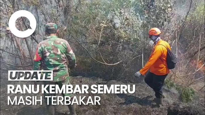  Video Petugas Berjibaku Padamkan Karhutla di Semeru dengan Cara Manual