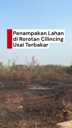 Video Situasi di Rorotan Cilincing Usai 30 Hektare Area Alang-alang Terbakar