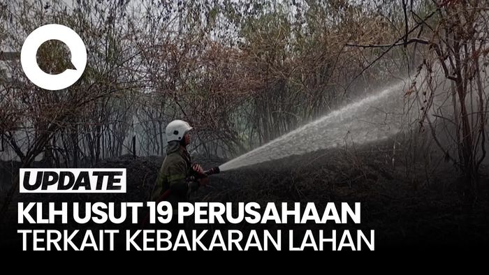Video: KLH Usut 19 Perusahaan Terkait Kebakaran Lahan 11 Ribu Hektare 