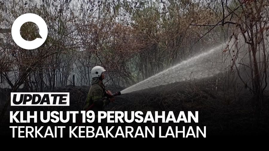 Video: KLH Usut 19 Perusahaan Terkait Kebakaran Lahan 11 Ribu Hektare 