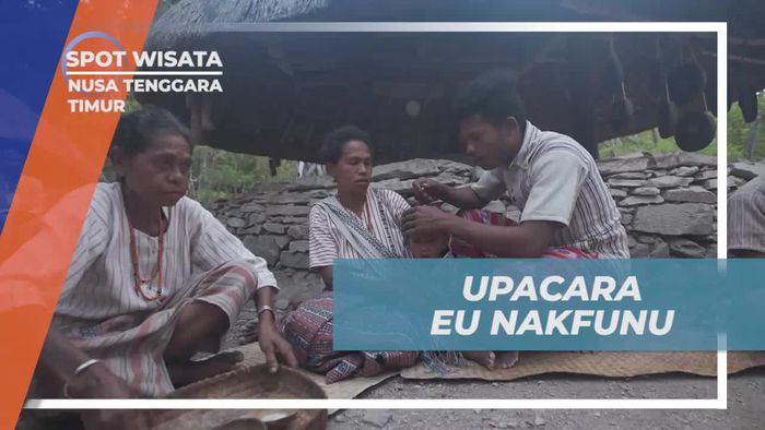 Melakukan Upacara Tradisional Eu Nakfunu di Nusa Tenggara Timur