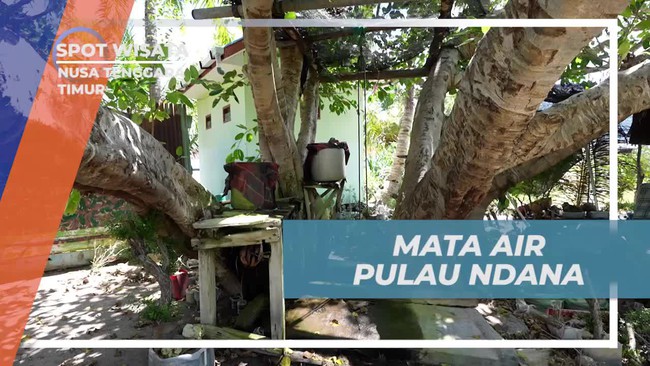 Menikmati Kesegaran Alami dari Mata Air Pulau Ndana di Nusa Tenggara Timur