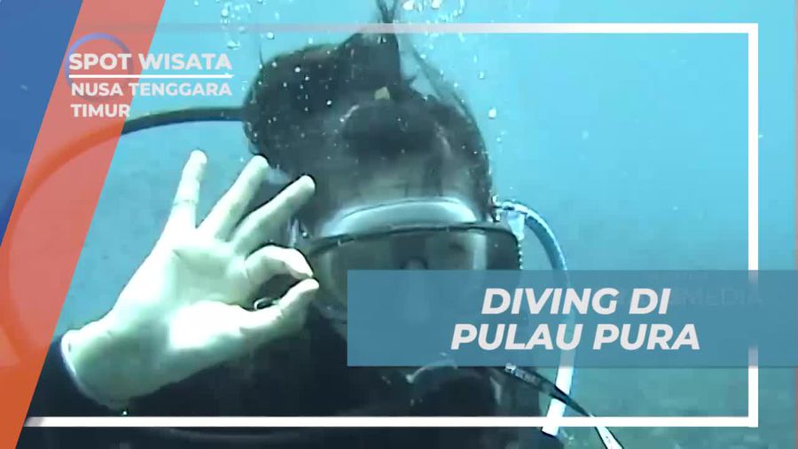 Menyelami Keindahan Bawah Laut Pulau Pura di Nusa Tenggara Timur