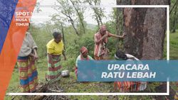 Menghadiri Upacara Ratu Lebah yang Menawan di Nusa Tenggara Timur