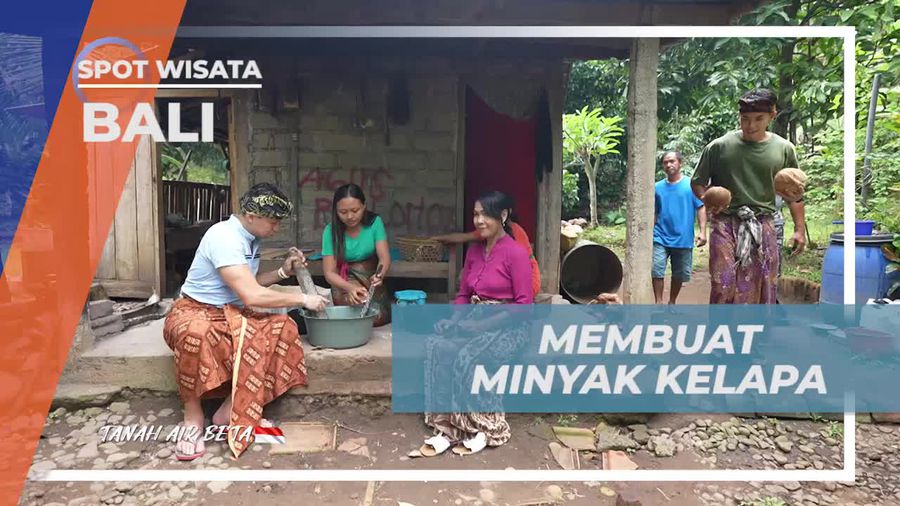  Belajar Membuat Minyak Kelapa secara Tradisional bersama Warga Bali  