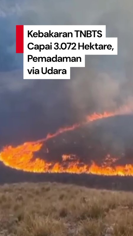 Video: Medan Sulit, Pemadaman Kebakaran TNBTS Dilakukan dengan Water Bombing