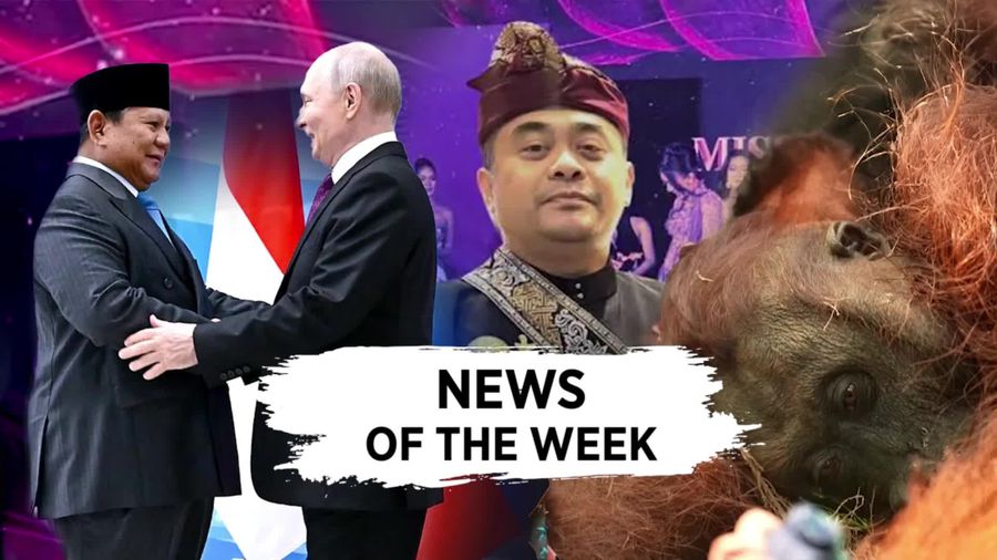 Video Terpopuler Sepekan: Orang Utan Mati gegara Karhutla-Prabowo ke Rusia