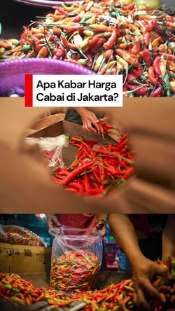 Video Pramono: Cabai Sekarang Harganya Sudah Relatif Normal Kembali
