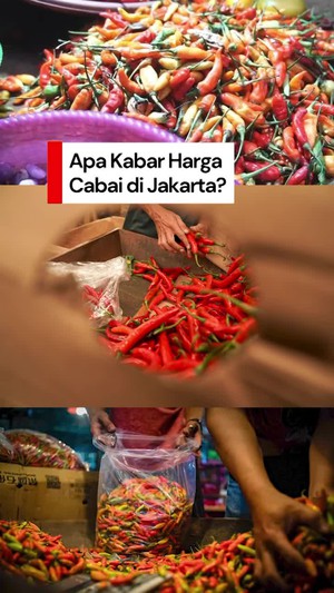Video Pramono: Cabai Sekarang Harganya Sudah Relatif Normal Kembali