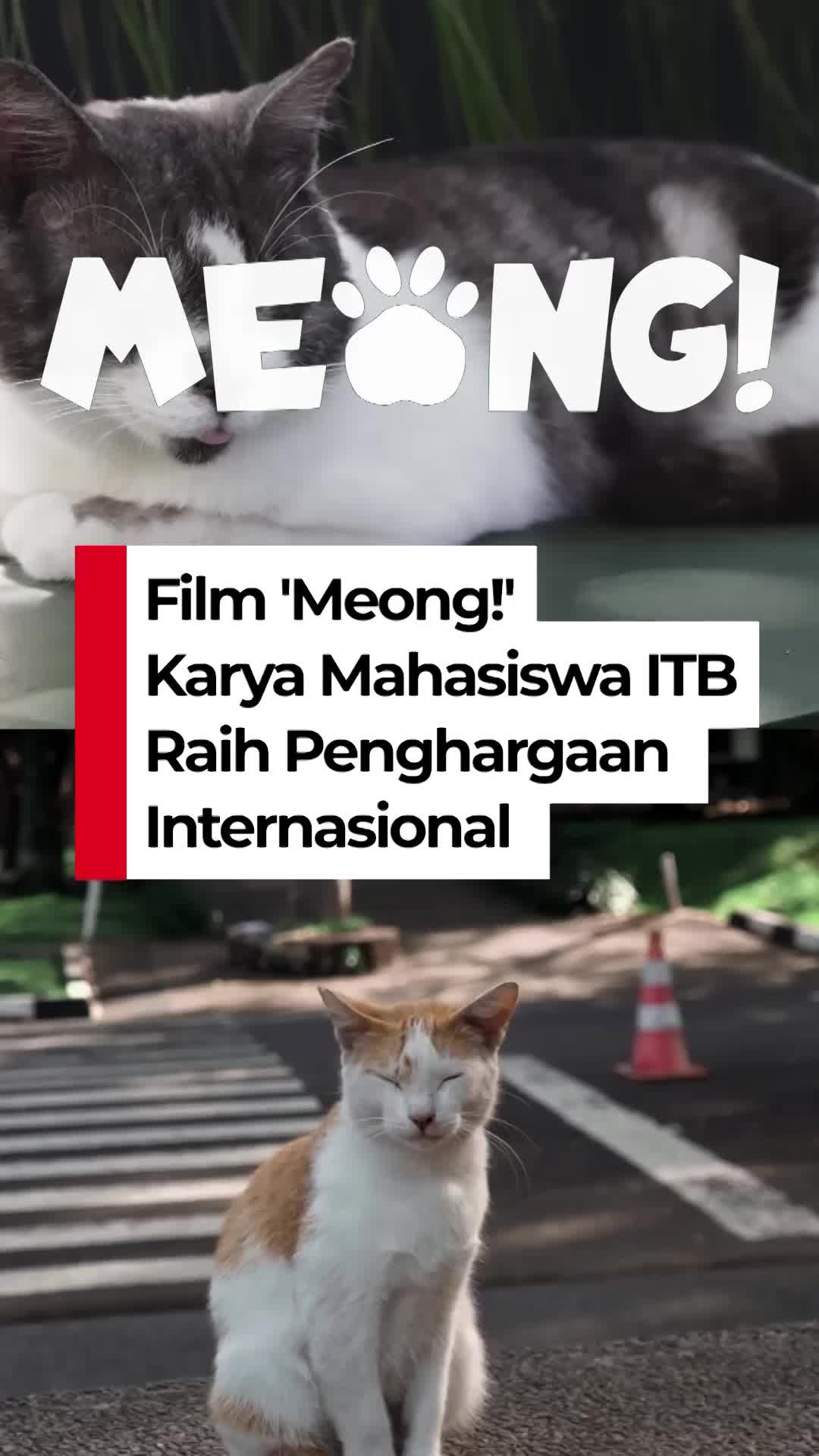 Video Sutradara Bangga Film 'Meong!' Karya LFM ITB Raih Penghargaan Internasional - detikHOT - detikcom - detikHOT