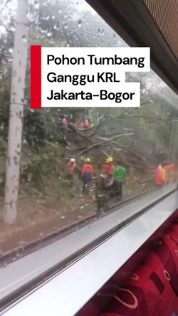 Video: Ada Pohon Tumbang di Lintasan UI-Pasar Minggu, KRL Jakarta-Bogor Tertahan