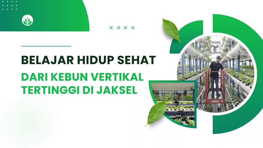 Video: Belajar Hidup Sehat dari Kebun Vertikal Tertinggi di Jaksel